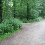 98 - nach 50 m links