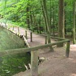 11 - hier gehts weiter