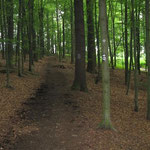 20 - Licht am Ende der Steigung