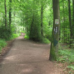 14 - dem "D" folgen