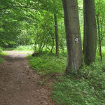 44 - rechts weiter