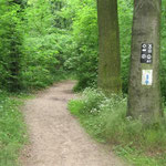 03 - immer dem "D" folgen