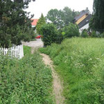 33 - Vorsicht, hier liegen Steine