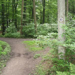 49 - erst links