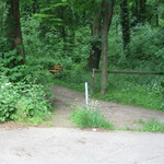02 - ab in den Wald