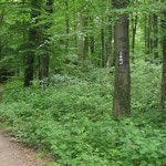 05 - weiter so