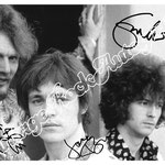 CREAM