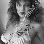 TRACY LORD 