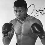 CASSIUS CLAY - MOHAMMED ALI' 