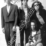 JANE'S ADDICTION : PERRYS FARREL