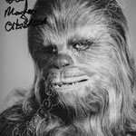STAR WARS : CHEWBECCA