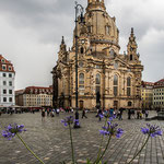 Dresden