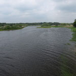 Der Myakka River