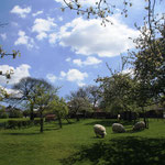 De boomgaard in Koulen