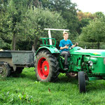 Het fruit wordt verzameld.