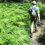Wandern in der Eifel