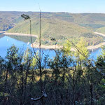 Nationalpark Eifel