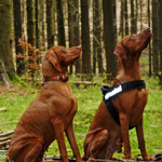 Mina und Finley