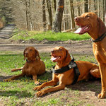Mina (links), Finley (mitte) Glen ( rechts)