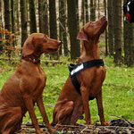 Mina und Finley