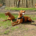 Mina und Finley
