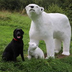 Black dog & White bear