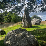 Alignement de menhirs de Lampouy _ Médréac 2023