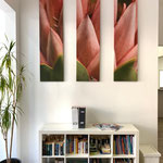 Referenz von Studio Jemanda 