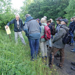 Schilder weisen auf den Schutz der Heidelerche hin