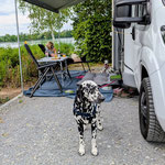 Omar Sharif vom Furlbach...01.06.2025