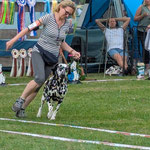 Omar Sharif vom Furlbach...02.07.2025