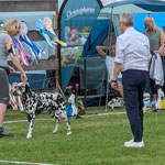 Omar Sharif vom Furlbach...02.07.2025