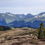 Frühling auf Maraner Hauptji