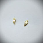 007 Goldohrstecker
