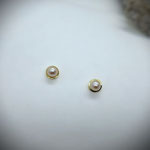 065 Goldohrstecker
