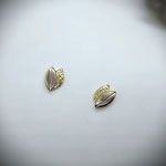 072 Goldohrstecker