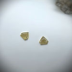 071 Goldohrstecker