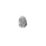 Fingerabdruck  180,00€ pro Ring