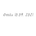 eigene Handschrift   80,00€ pro Ring