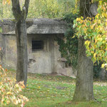 Elsass, 2008