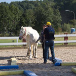 Mossie scheint noch nicht so interessiert?