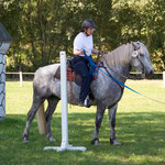 Mit der Longe um die Tonne reiten