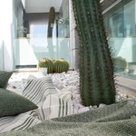 Ambiente Tramontana 03