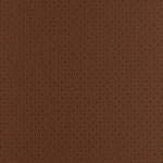Dark Camel