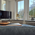 TV Wohnung Fichte