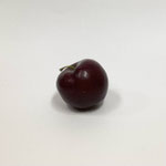 ダミーフード133　プラムサンタローザ　70φ
