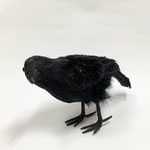 ハロウィン259　からす　220H 　
