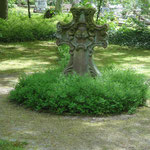Das Kreuz