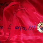 Medalla Conmemorativa Champions Roma 2009