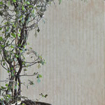 Barrow striped - Dusty Green SKU 700276; 54cml x 10 mètres long; Price 63€ per roll